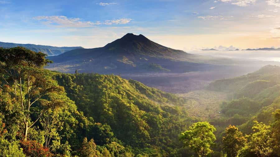Central Bali: Ubud Village, Rice Terrace, and Kintamani Tour - The best parts of this Central Bali day