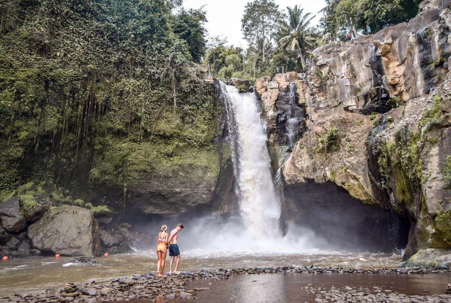 Central Bali: Ubud Village, Rice Terrace, and Kintamani Tour - A full day built around central Bali’s contrasts