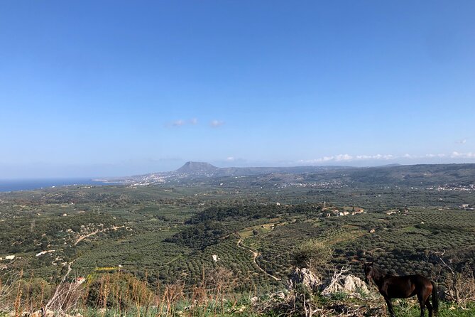 Chania Area: Cooking Class at a Farm in Stylos Village (organic) - Cooking lunch with Sofia