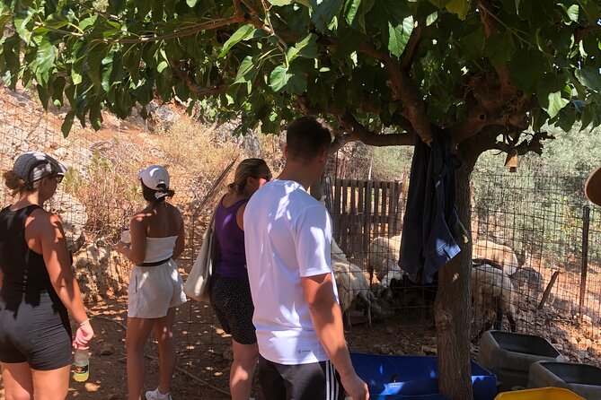Chania Area: Cooking Class at a Farm in Stylos Village (organic) - A long lunch with wine, raki, and stories