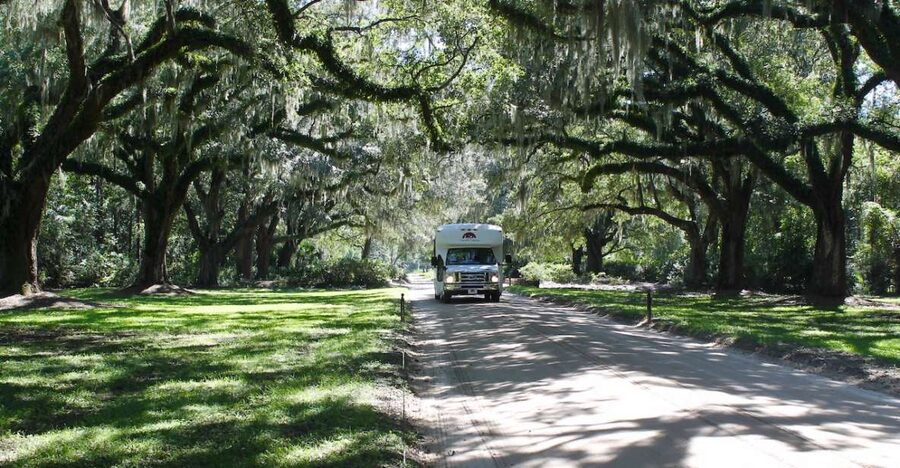 Charleston: Boone Hall Plantation Entry & Tour w/ Transport - The 30-minute ride from Charleston