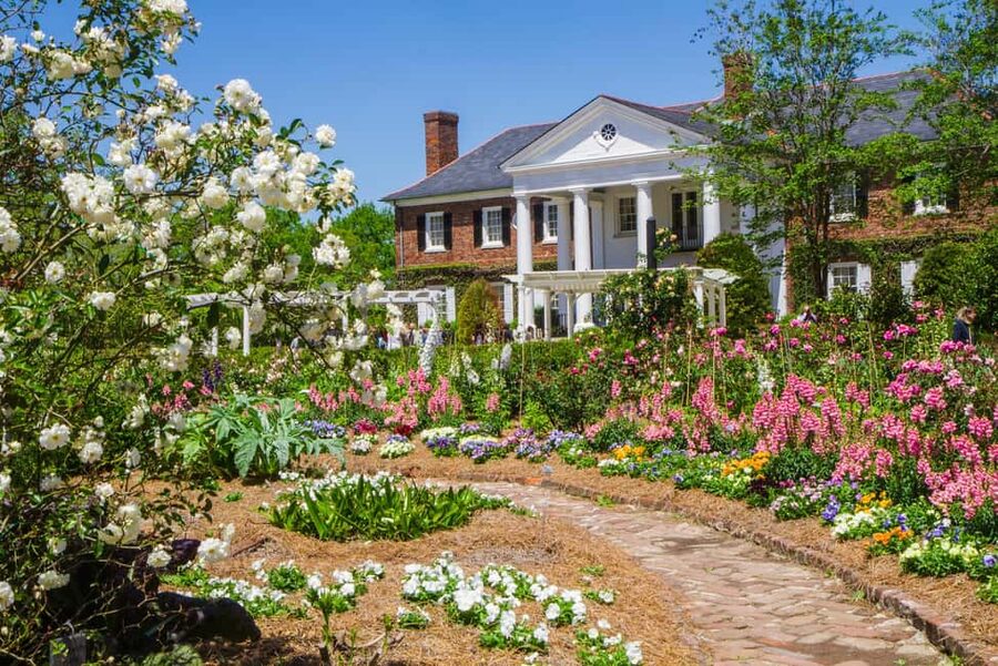 Charleston: Boone Hall Plantation Tour - A plantation visit that does more than show a pretty house