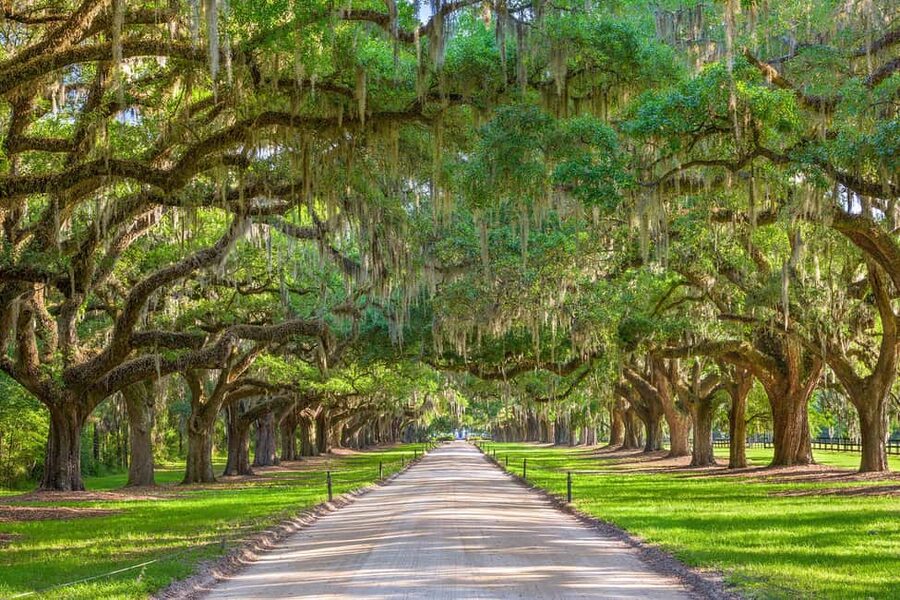 Charleston: Boone Hall Plantation Tour - Is $63 a fair price?