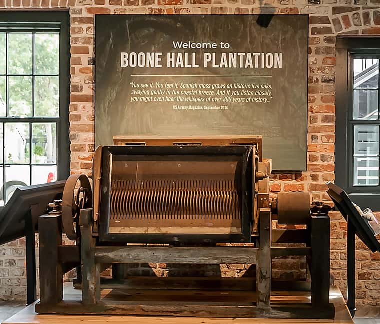 Charleston: Boone Hall Plantation Tour - Who will enjoy this tour most?