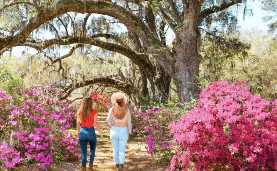 Charleston: Historic City Tour & Magnolia Plantation Combo - Walking Magnolia’s Romantic gardens
