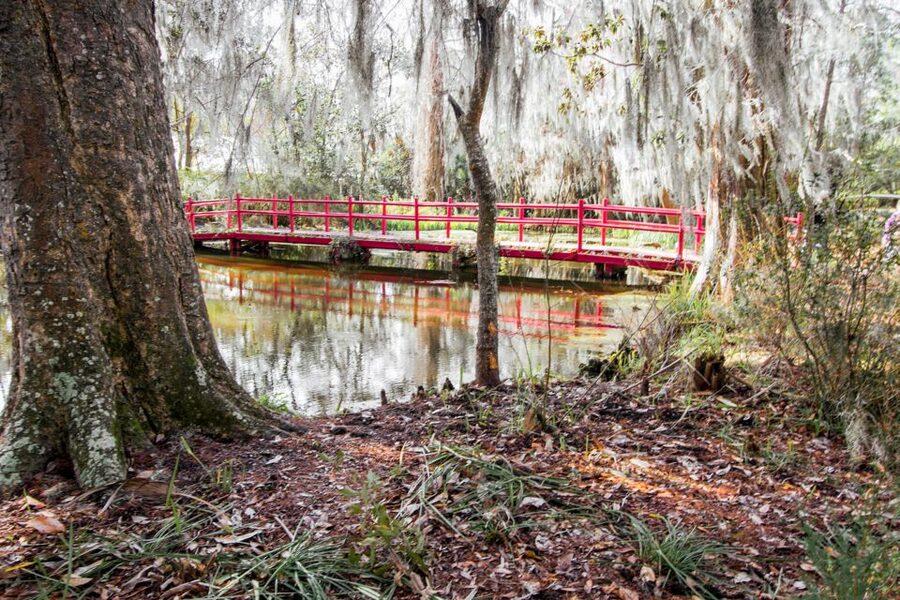 Charleston: Magnolia Plantation Entry & Tour with Transport - The Old African American Cabin and Slavery to Freedom