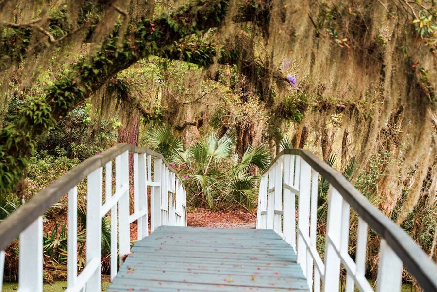 Charleston: Magnolia Plantation Entry & Tour with Transport - Why Magnolia Plantation feels different from a simple house tour