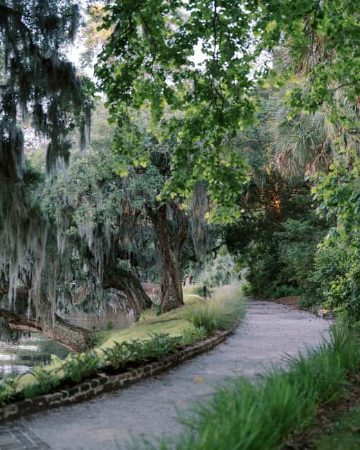 Charleston: Magnolia Plantation & Gardens Guided Tour - Gardens and trails reward your own pace