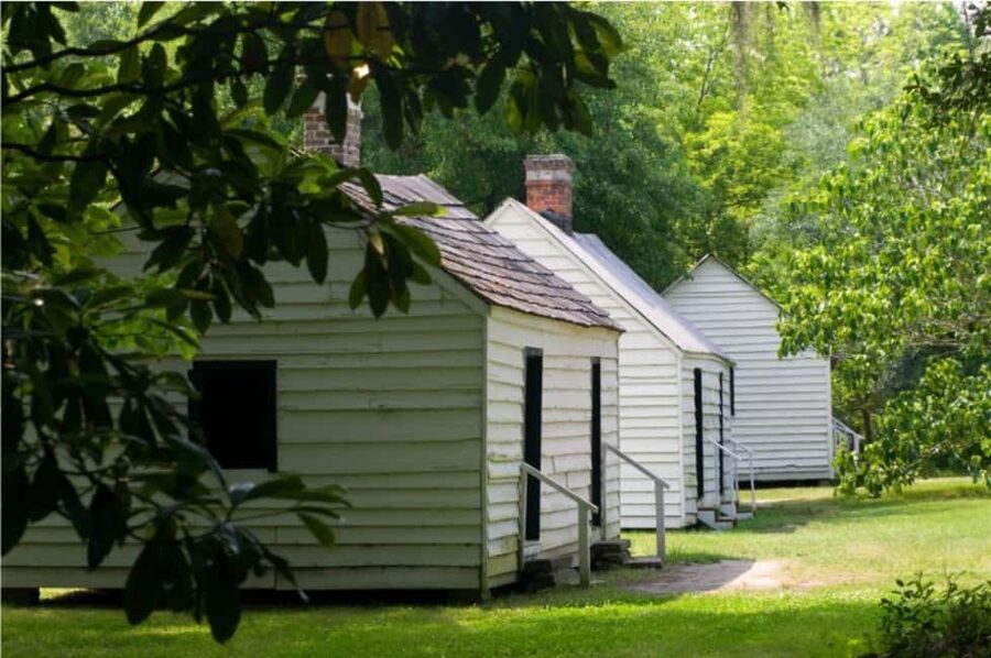 Charleston: Magnolia Plantation & Gardens Guided Tour - Audubon Swamp Garden brings a wilder side