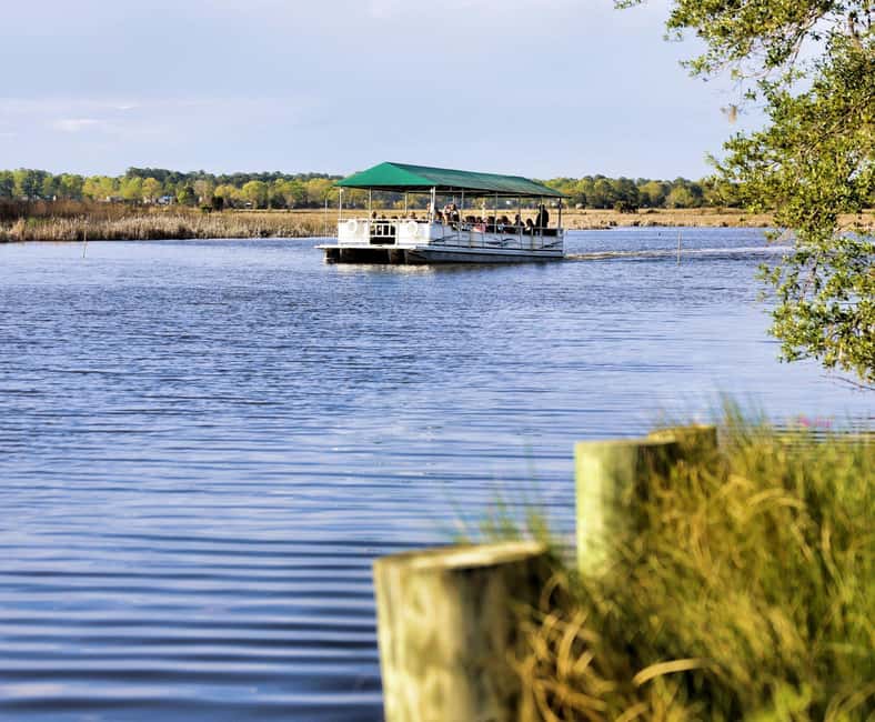 Charleston: Magnolia Plantation & Gardens Guided Tour - Nature train or Ashley River boat