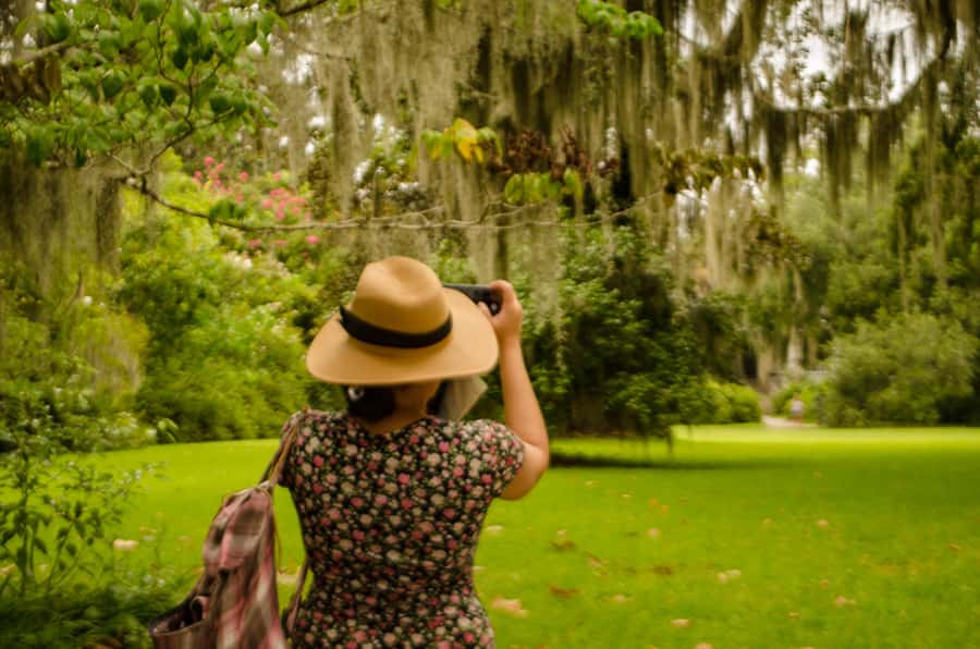 Charleston: Magnolia Plantation with Transport and City Tour - Key points at a glance