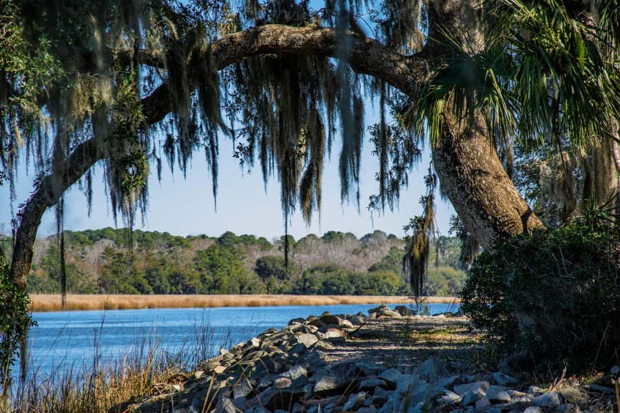 Charleston: Magnolia Plantation with Transport and City Tour - Why Magnolia makes a strong first stop