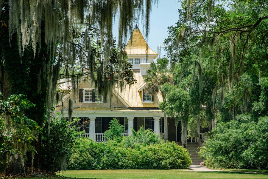 Charleston: Magnolia Plantation with Transport and City Tour - What the tram adds to the day