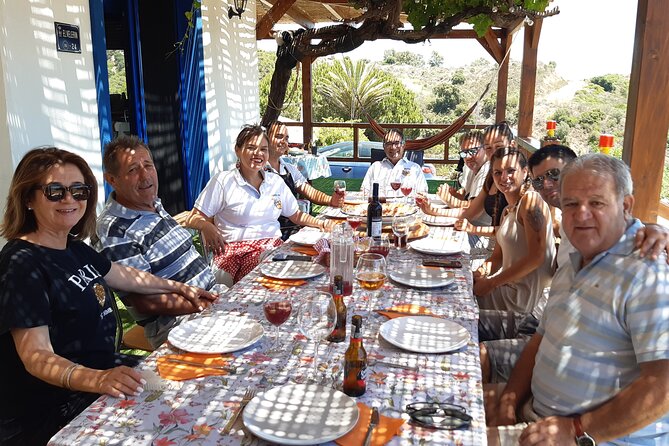 Chefcooking Paella from our Andalusian Grandmother at a Family Farm - Drinks are part of the experience