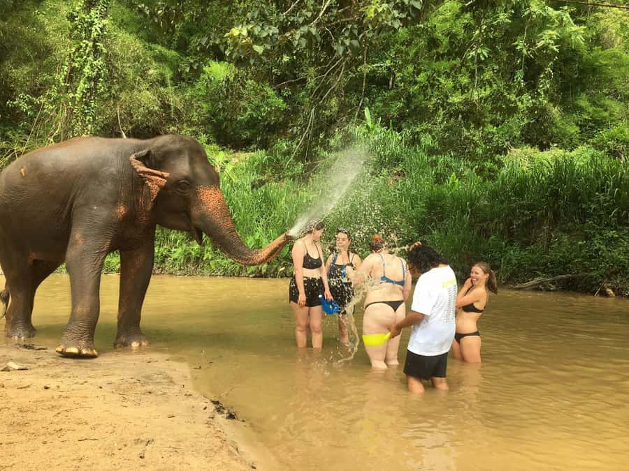 Chiang Mai: 2-Day Jungle Trek with Elephant Farm & Raft Ride - Key points to know before booking