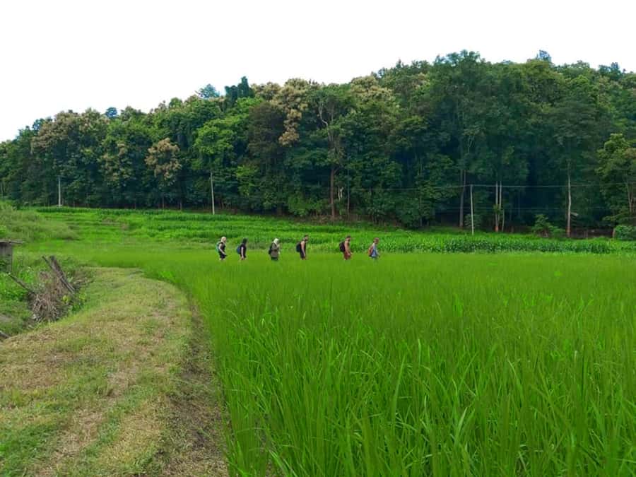 Chiang Mai: 2-Day Jungle Trek with Elephant Farm & Raft Ride - Returning by river and road