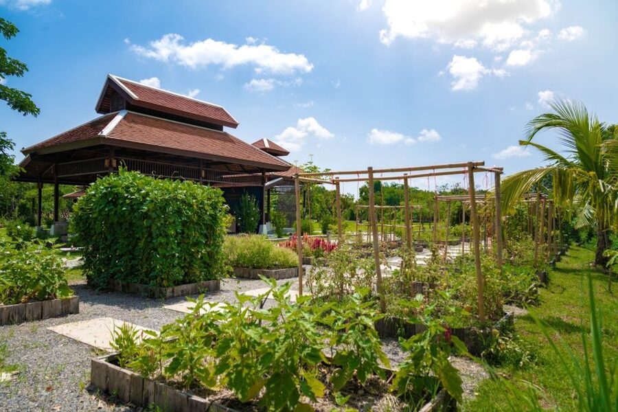 Chiang Mai: Authentic Cooking Class with Market & Farm Visit - From Chiang Mai hotel to countryside kitchen