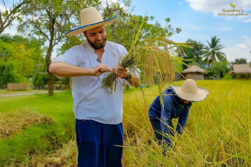 Chiang Mai: Authentic Cooking Class with Market & Farm Visit - Choosing morning, afternoon, evening, or full day