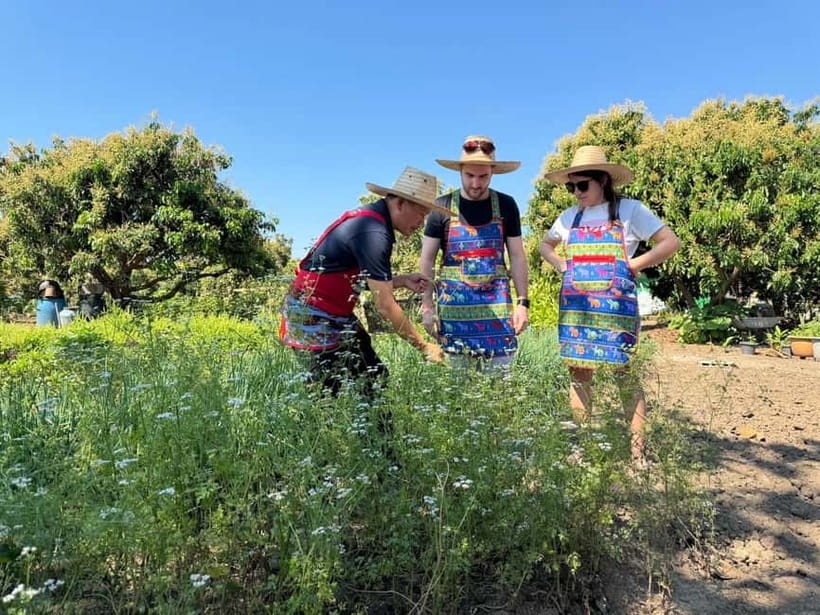 Chiang Mai : Cook in Farm, Market tour & Go by a Local Train - From Chiang Mai streets to a Lamphun village