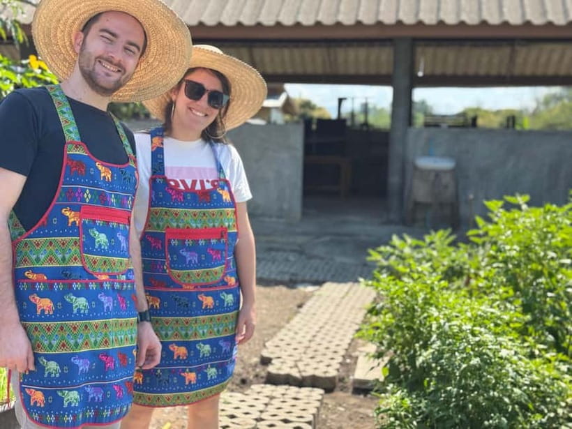 Chiang Mai : Cook in Farm, Market tour & Go by a Local Train - Who will enjoy this experience most