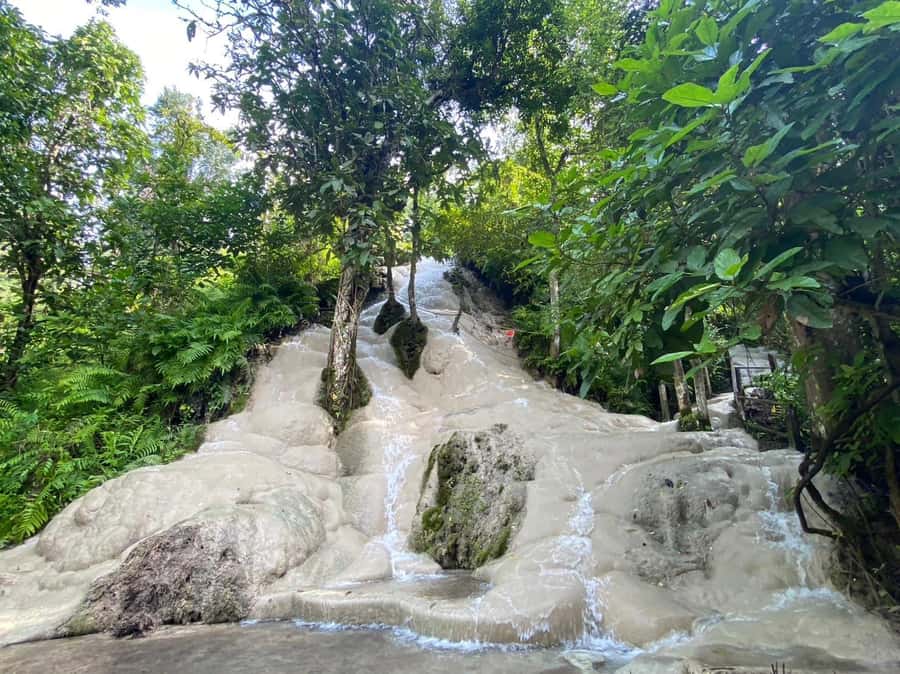Chiang Mai: Doi Suthep, Orchid Farm and Waterfall with Lunch - Why this Chiang Mai day works well