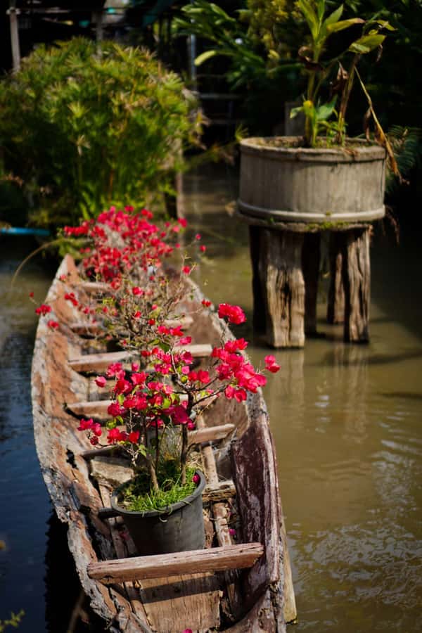 Chiang Mai: Doi Suthep, Orchid Farm and Waterfall with Lunch - The optional Karen village stop