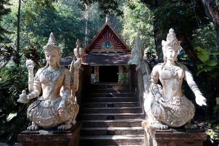 Chiang Mai: Doi Suthep, Orchid Farm and Waterfall with Lunch - Starting with Wat Phra That Doi Suthep