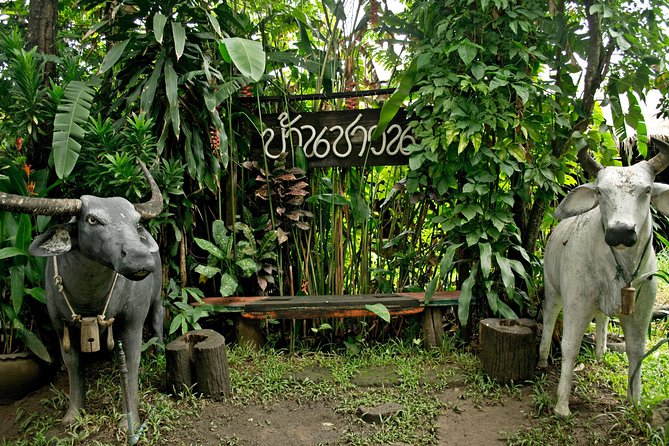 Chiang Mai Farm Life & Khao Soy Tasting on a Half-Day Boat Tour - What this Chiang Mai river outing really offers