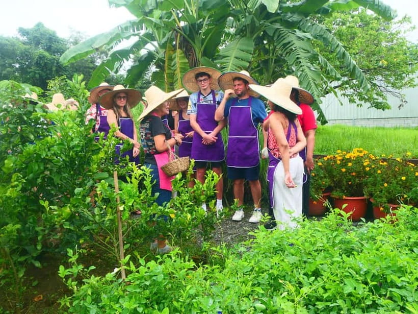 Chiang Mai: Full-Day Thai Cooking Experience at a Local Farm - A market morning before the farm