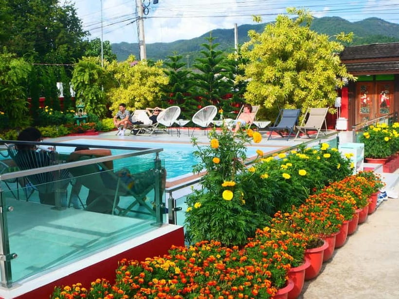 Chiang Mai: Full-Day Thai Cooking Experience at a Local Farm - Exploring the organic farm garden