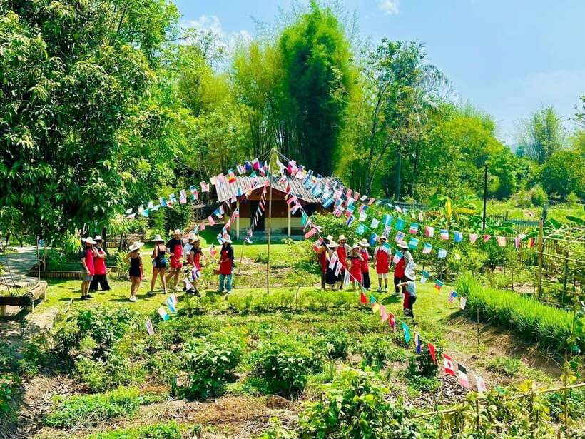Chiang Mai: Half Day Cooking Class at Organic Farm - Why this five-hour class is good value