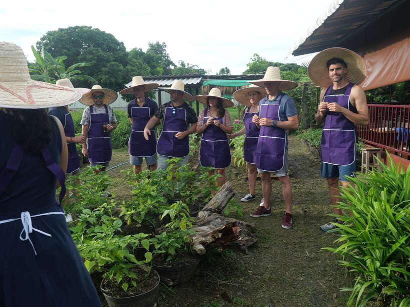 Chiang Mai: Half Day Cooking Class at Organic Farm - Pick the setting that suits your day
