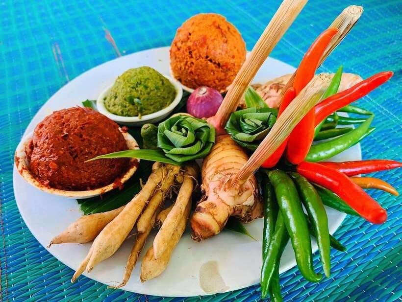 Chiang Mai: Half Day Cooking Class at Organic Farm - Morning or evening: choose the mood