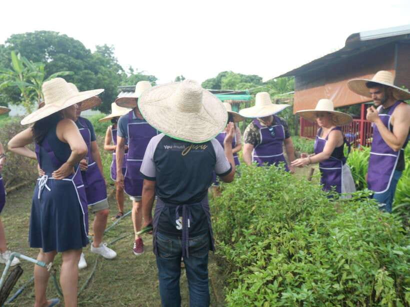 Chiang Mai: Half Day Cooking Class at Organic Farm - What you take home besides leftovers