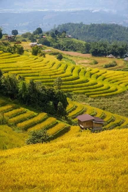 Chiang Mai : Pa Bong Piang Rice Terraces & Doi Inthanon - Is $77 good value?