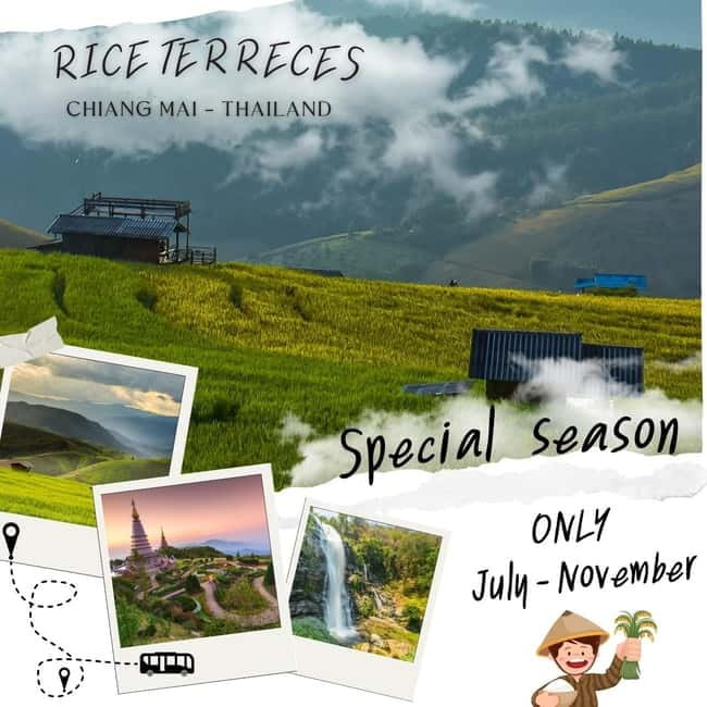 Chiang Mai : Pa Bong Piang Rice Terraces & Doi Inthanon - Why Pa Bong Piang makes this day different