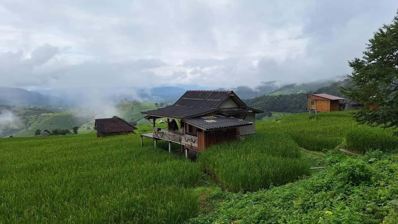 Chiang Mai : Pa Bong Piang Rice Terraces & Doi Inthanon - Walking Pa Bong Piang’s rice terraces