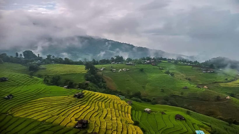 Chiang Mai : Pa Bong Piang Rice Terraces & Doi Inthanon - Reaching Thailand’s highest point at Doi Inthanon