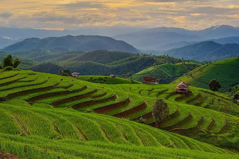 Chiang Mai : Pa Bong Piang Rice Terraces & Doi Inthanon - A quiet walk on the Ang Ka Nature Trail