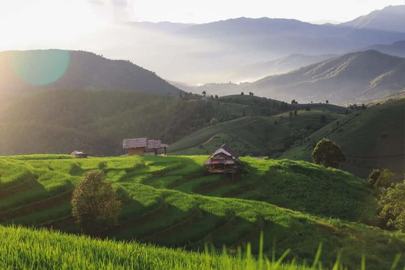 Chiang Mai : Pa Bong Piang Rice Terraces & Doi Inthanon - Coffee and village life at Mae Klang Luang