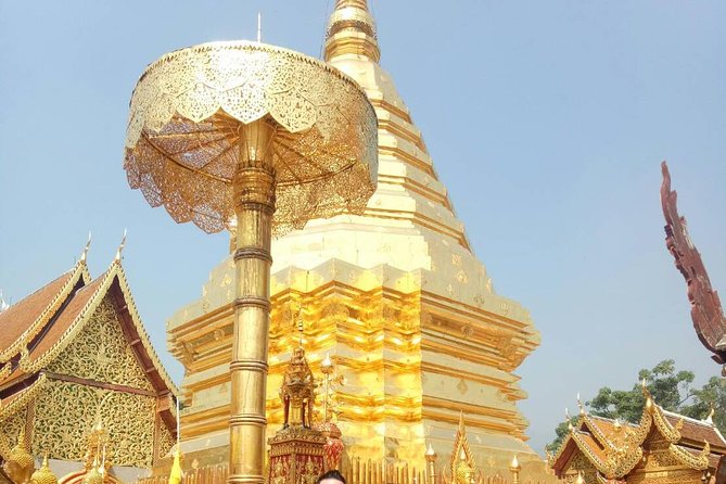 Chiang Mai Private Tour with Tea Plantation, Karen Village, Doi Suthep - Climbing to Wat Phra That Doi Suthep