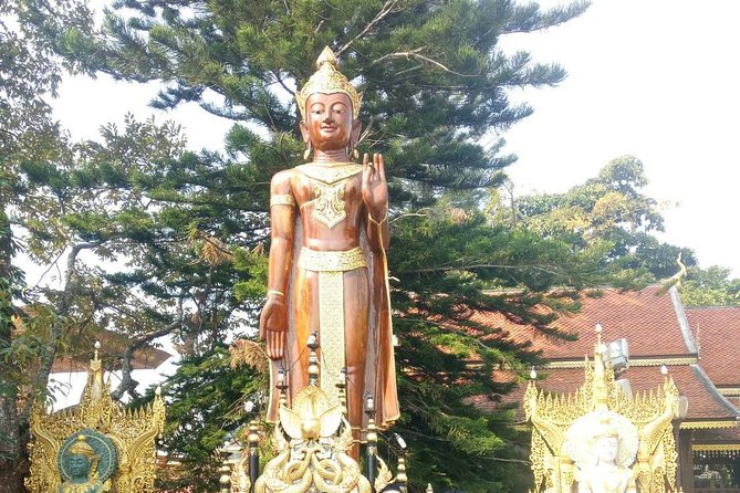 Chiang Mai Private Tour with Tea Plantation, Karen Village, Doi Suthep - The private guide makes the biggest difference