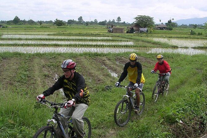 Chiang Mai Rice Fields Biking Tour - From Chiang Mai streets to open rice country