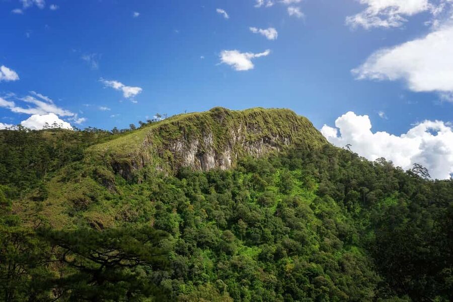 Chiang Mai : Thep Sadet & Coffee Plantation Full Day Hiking - Thep Sadet is about coffee and a proper mountain walk