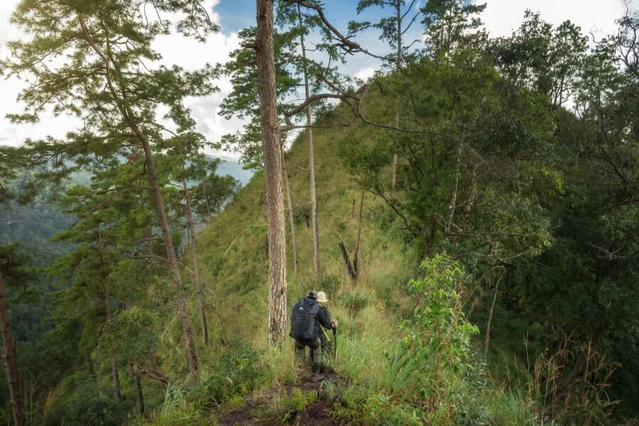 Chiang Mai : Thep Sadet & Coffee Plantation Full Day Hiking - Is $52 a fair price?