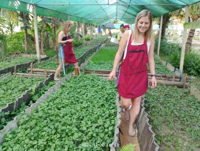 Chiang Rai:Lanna Home Cooking Class at Give Green Farm House - Why the farm setting adds value