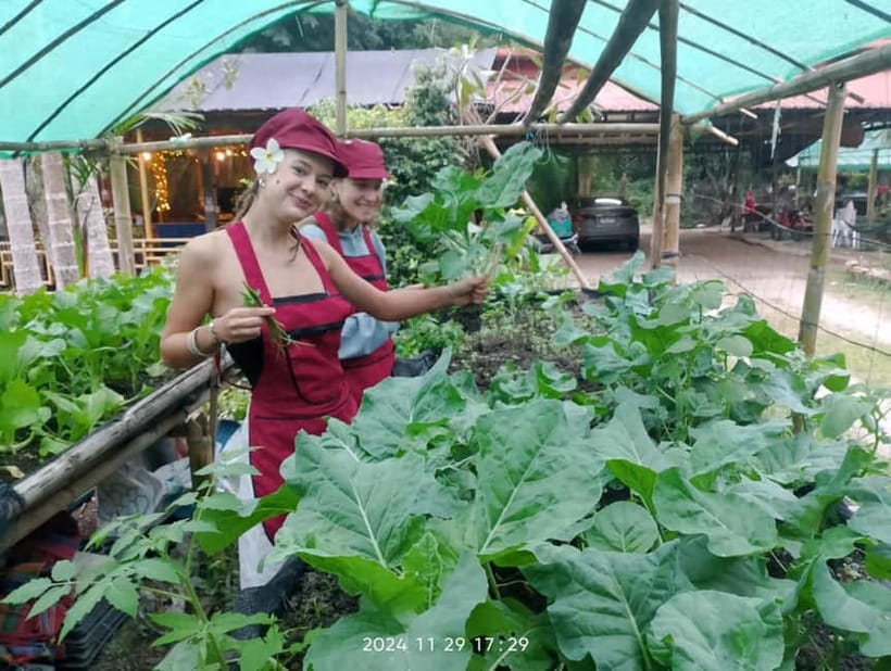 Chiang Rai:Lanna Home Cooking Class at Give Green Farm House - Timing, transport, and the amount of food