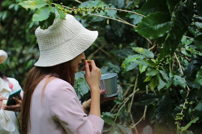 Chiangmai Coffee Farm Tour - Leaving Chiang Mai for the Doi Saket Hills