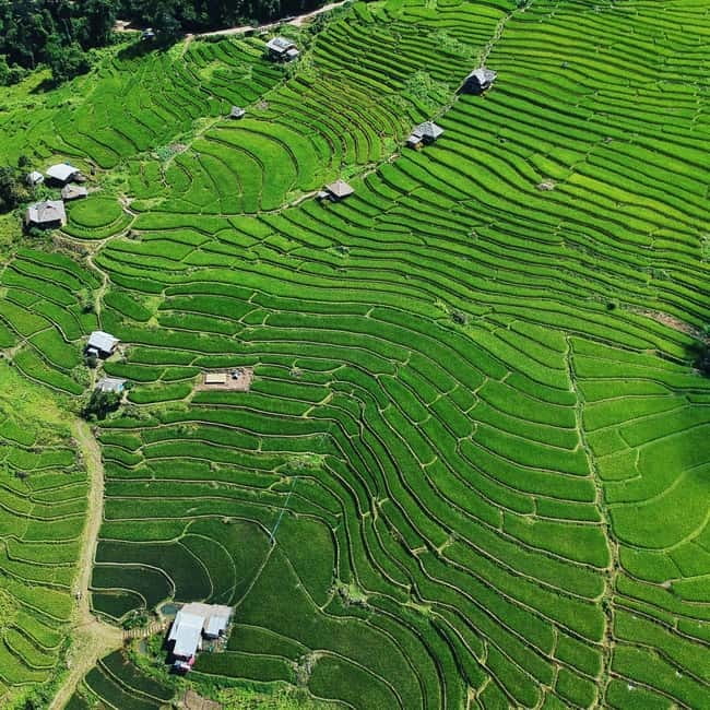 Chiangmai : Doi Inthanon unseen spot , Rice terrace & temple - Key points at a glance