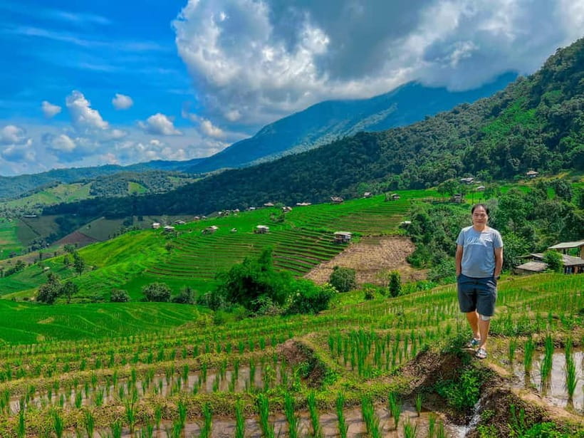 Chiangmai : Doi Inthanon unseen spot , Rice terrace & temple - Why this Doi Inthanon day trip is different